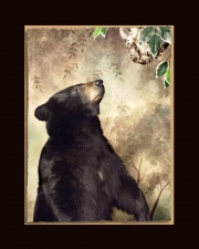 Black Bear Final