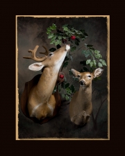 Fawn Button Deer All Seasons Taxidermy large