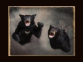 Bears All Seasons Taxidermy large