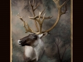 Caribou All Seasons Taxidermy large