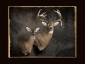 Double Deer Mount All Seasons Taxidermy large