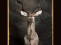 Kudo All Seasons Taxidermy large