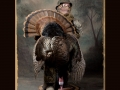 Turkey with hunter All Seasons Taxidermy large